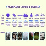 KFCemployee's Best Brushes