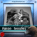 Falcon Brushes