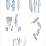Free Feathers PS Brushes