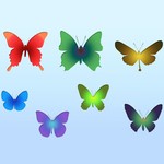 Butterflies