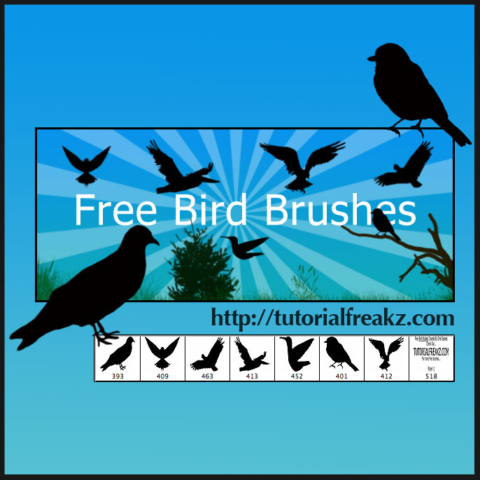 birds brush photoshop free download