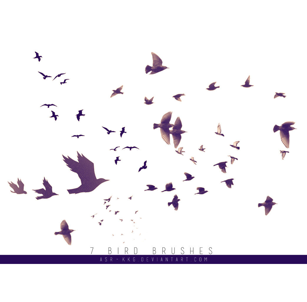 birds brush photoshop free download