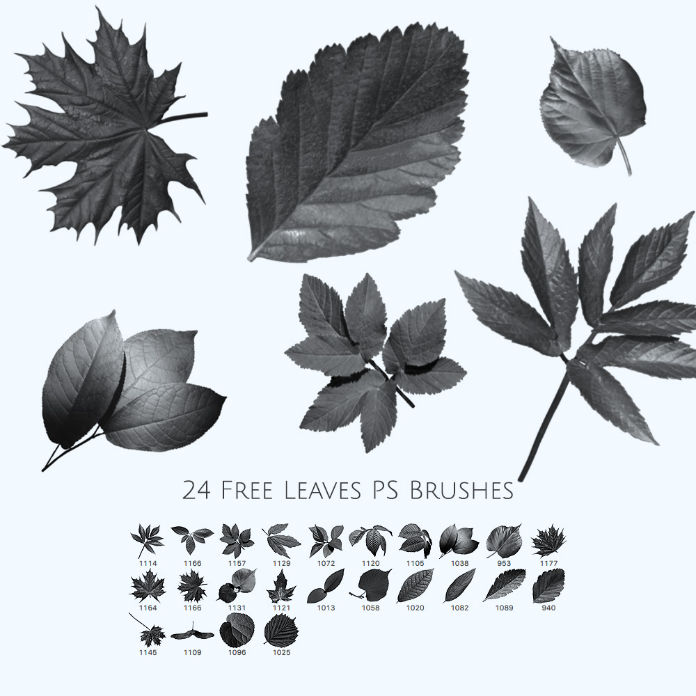tree leaf brush photoshop free download
