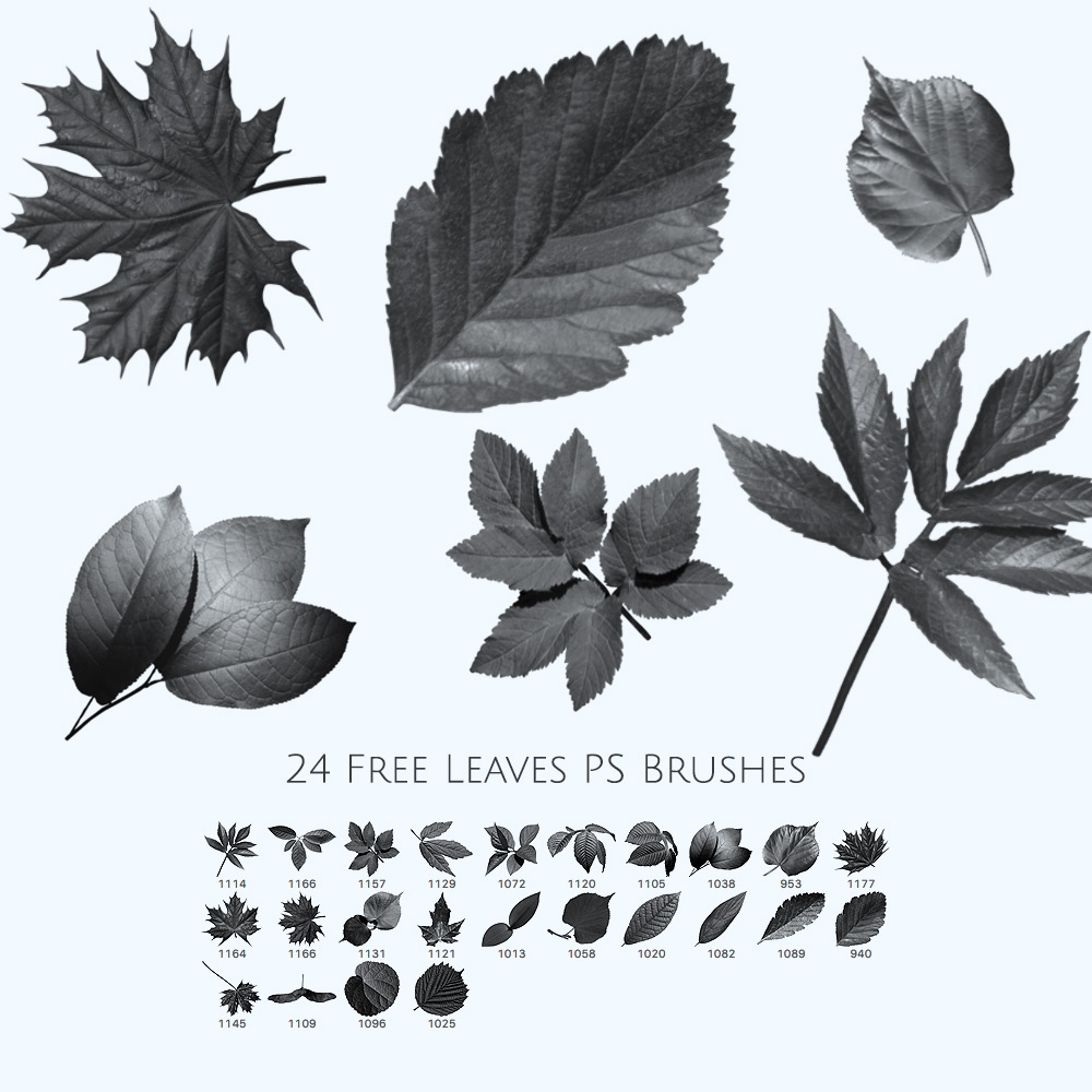 adobe photoshop cs brushes free download