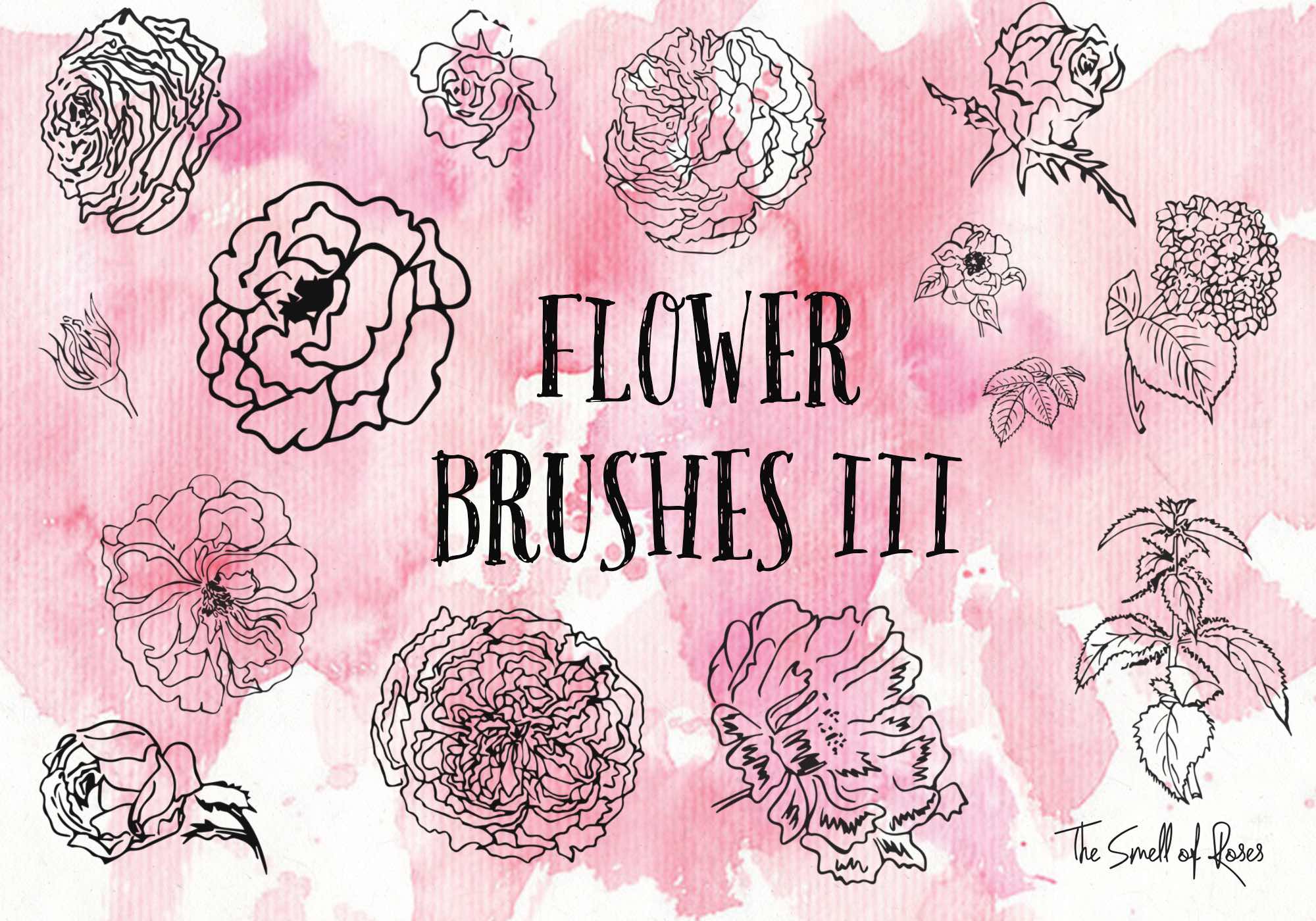Flower Brushes 3 - Photoshop brushes