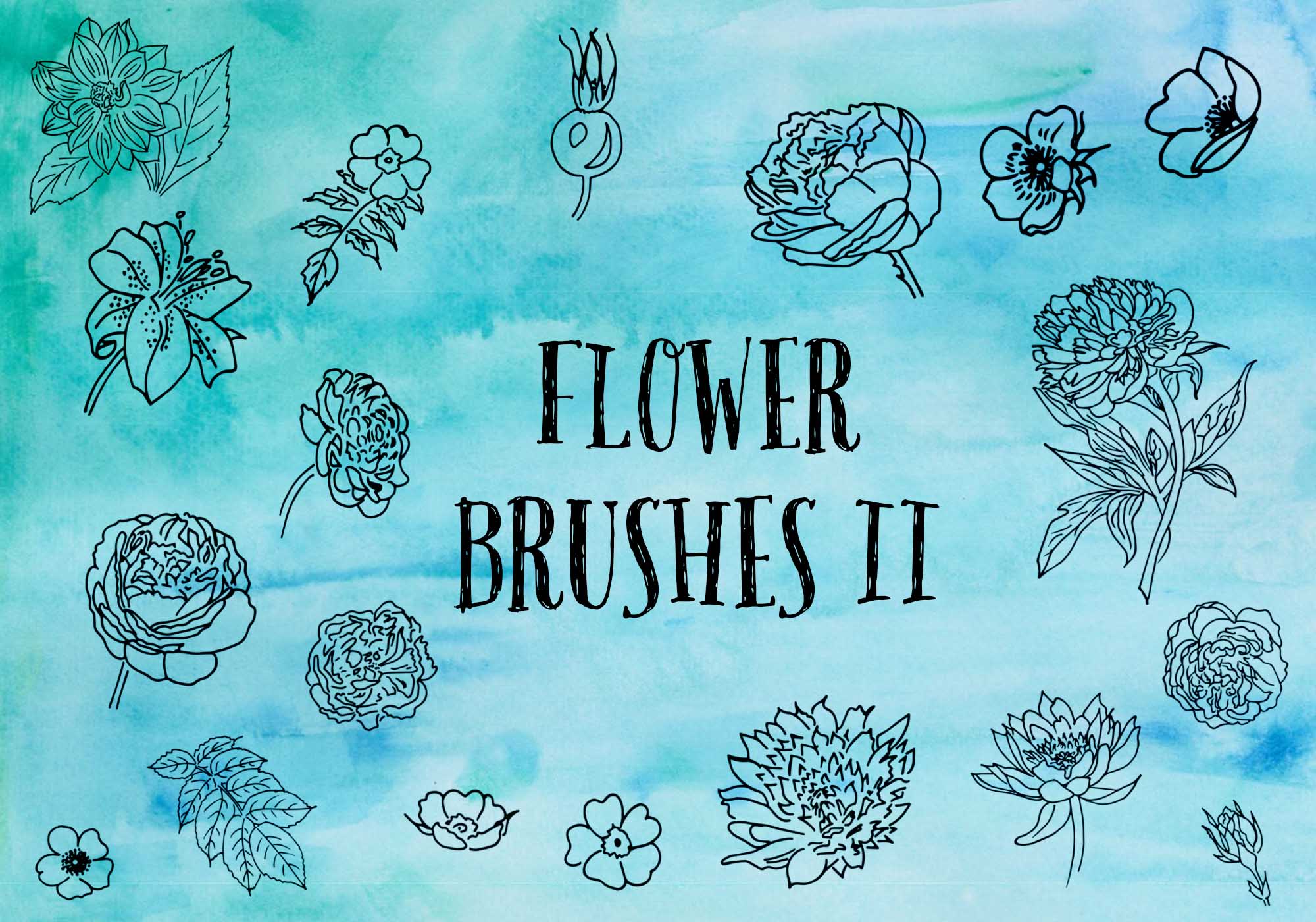 adobe photoshop flower brushes free download