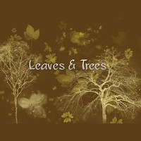 Leaves and trees