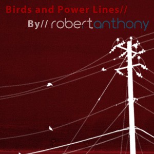 Photoshop brushes power lines birds