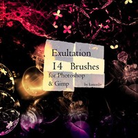 Exultation Brushes