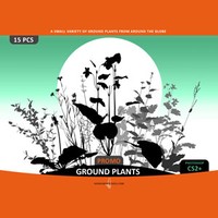 Ground Plants Selection