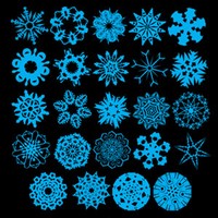 96 Snowflake Brushes