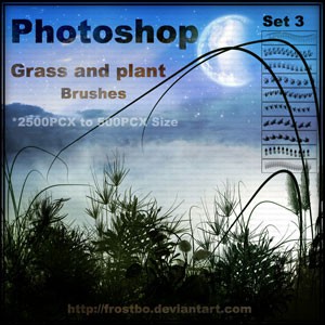 Photoshop brushes grass, plant, blades