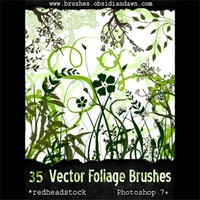 Vector Foliage - 35 Plants Brush