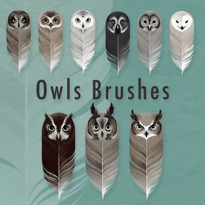 Photoshop brushes animal, bird, feather, owl