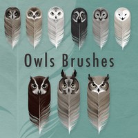 9 Owls Brushes
