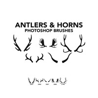 Antlers and Horns 5 Photoshop Brushes