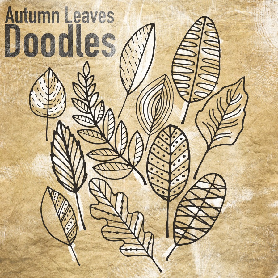 Photoshop brushes autumn, doodle, leaves