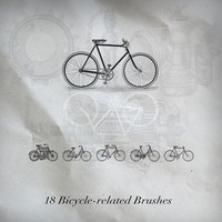 18 Bike Brushes