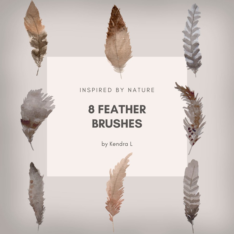 Photoshop brushes birds, feather