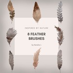 8 Free Feather Brushes - Photoshop brushes