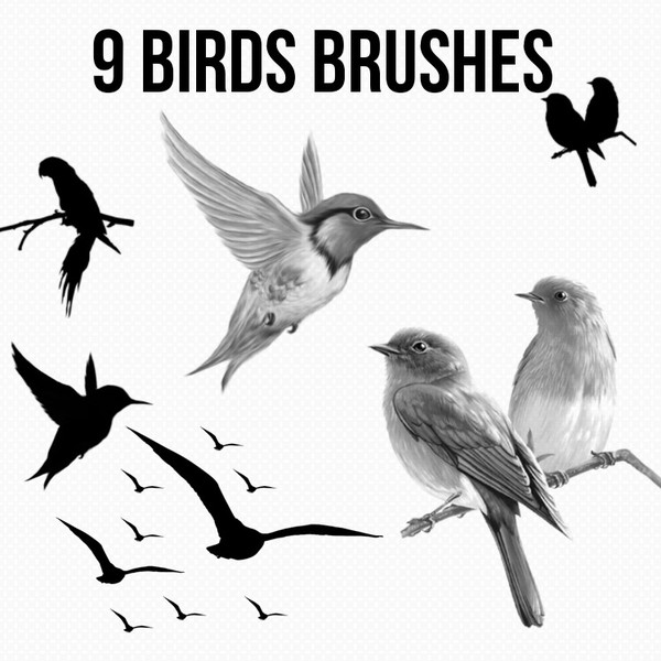 flying birds procreate brush free