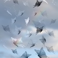 9 Free Butterfly PS Brushes