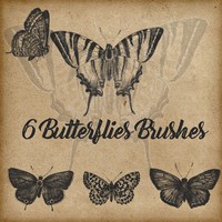6 Butterflies Brushes