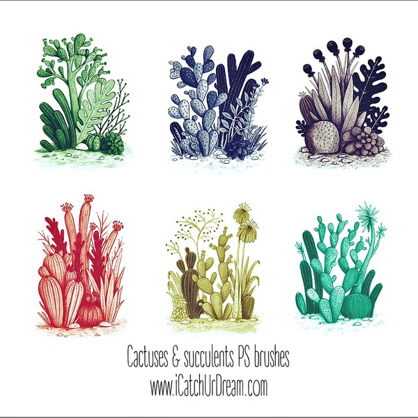 cactus brush photoshop free download