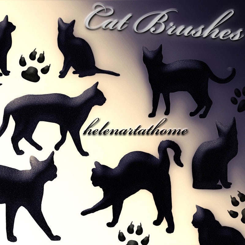 Free Cat Brushes Photoshop Brushes