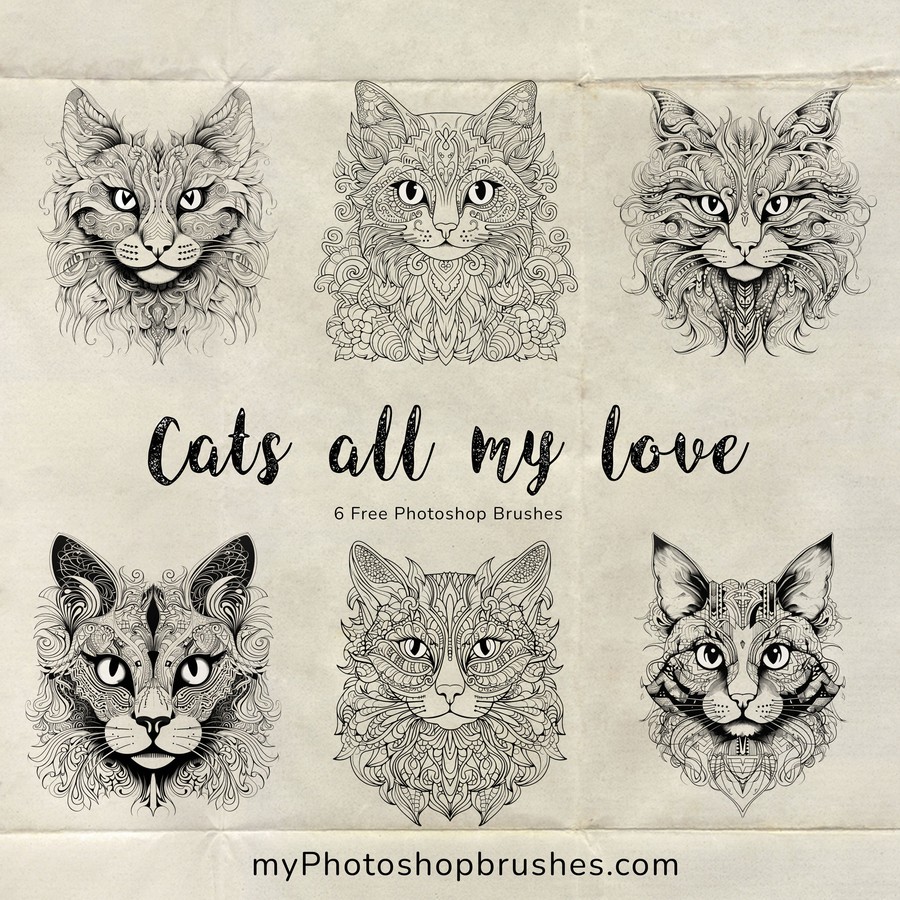 Photoshop brushes cat coloring page adult