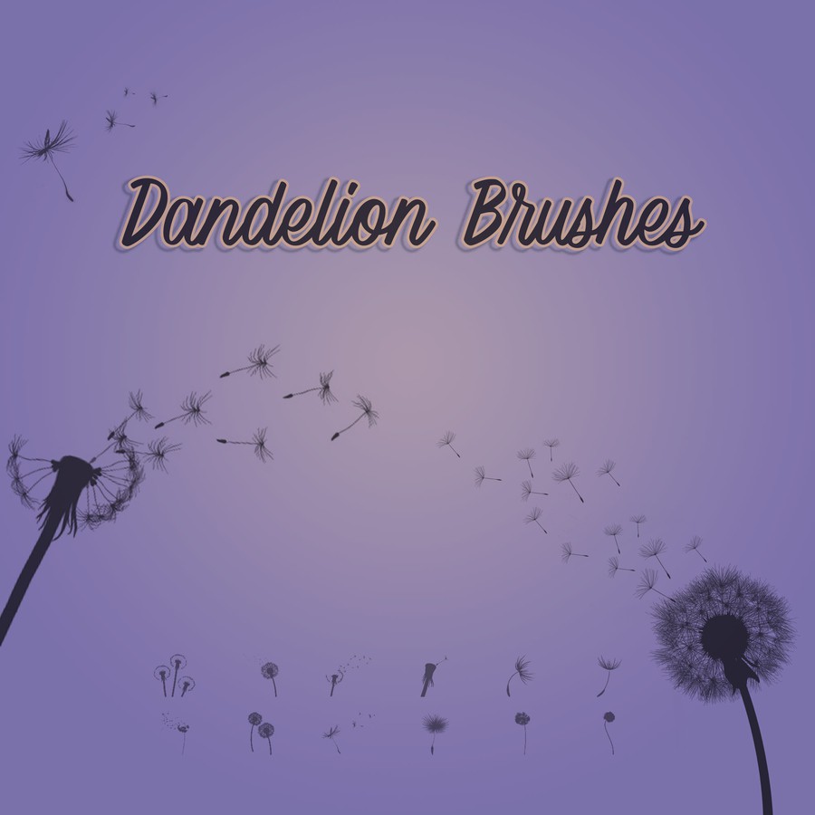 Photoshop brushes dandelion