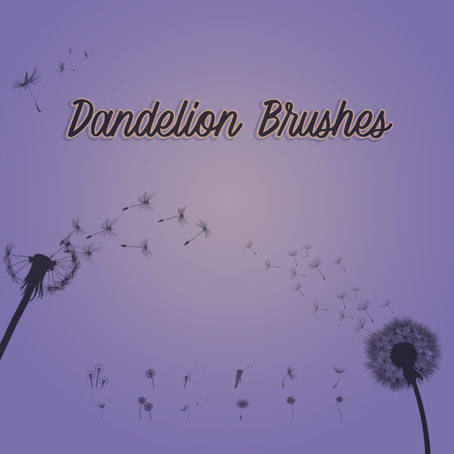 dandelion brush photoshop free download