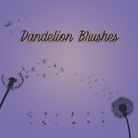 Dandelion Free Photoshop Brushes