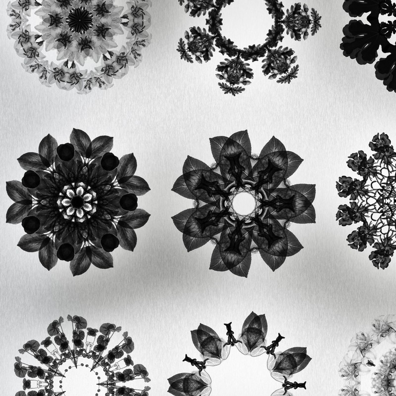 Photoshop brushes decorative, mandala, ornaments