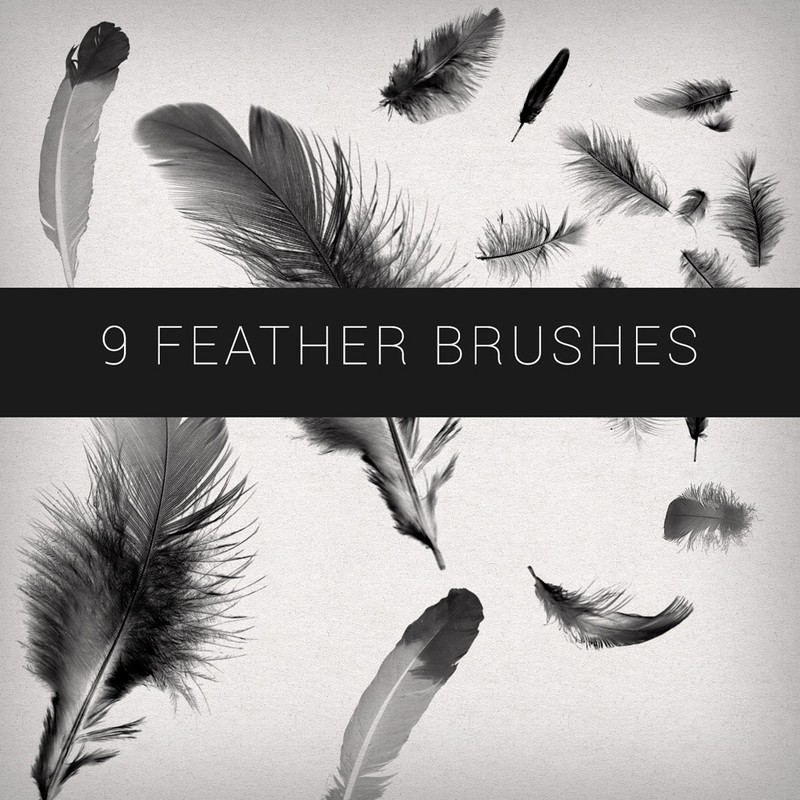 9 Feathers Brushes   Photoshop Brushes