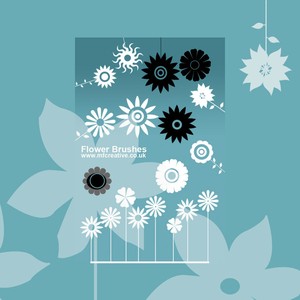 Vector Flower Brushes - Photoshop brushes