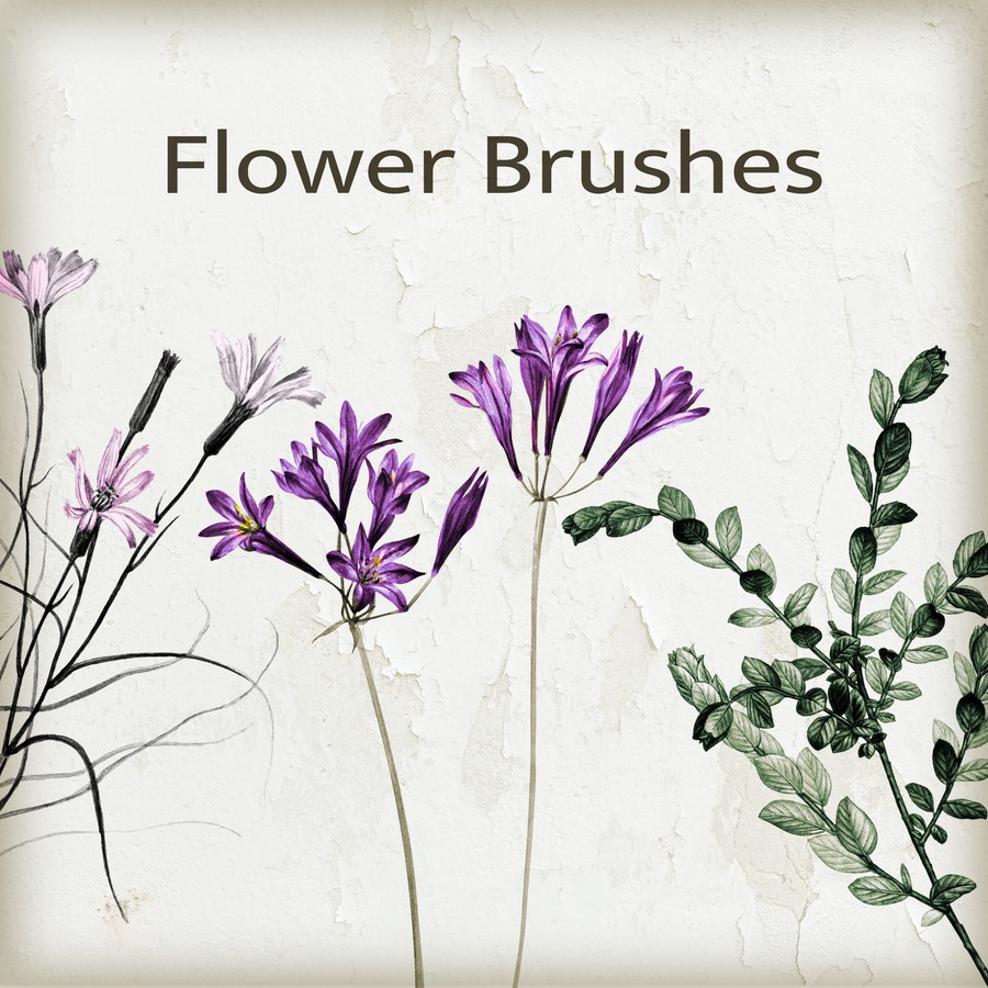 flower brush photoshop free download