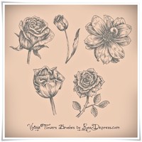 Vintage Flowers High Res Photoshop Brushes