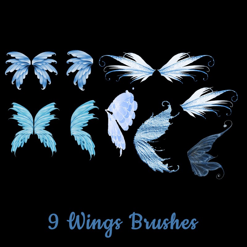 Photoshop brushes fly, wings, magical