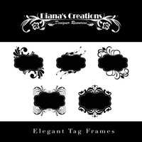 Frame Brushes - Elegant Tag
