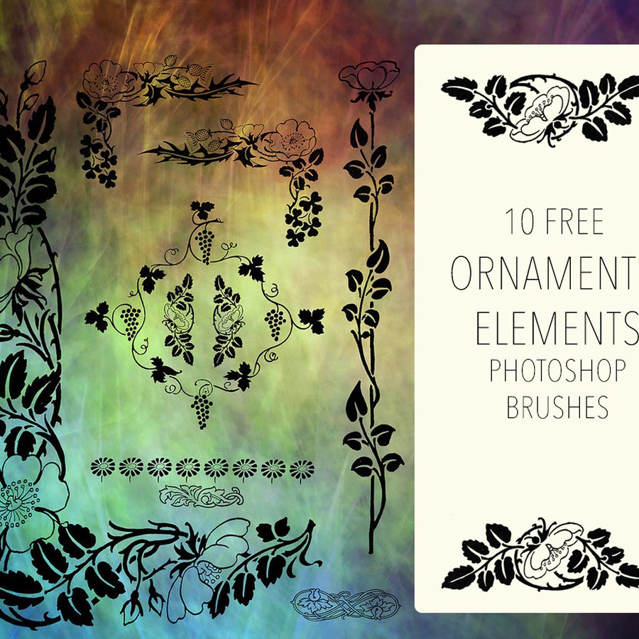 Photoshop brushes ornament, floral