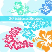 20 Hibiscus Flowers PS Brushes