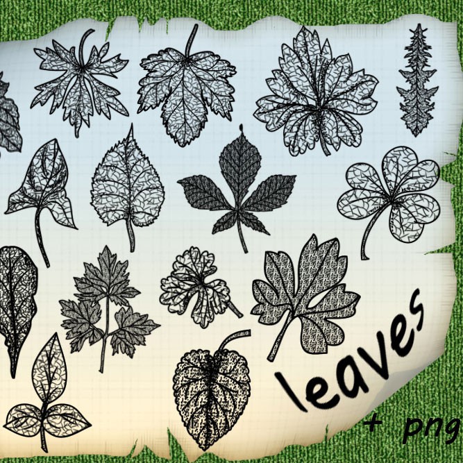 Photoshop brushes leaves