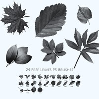 24 Free Leaves Photoshop Brushes