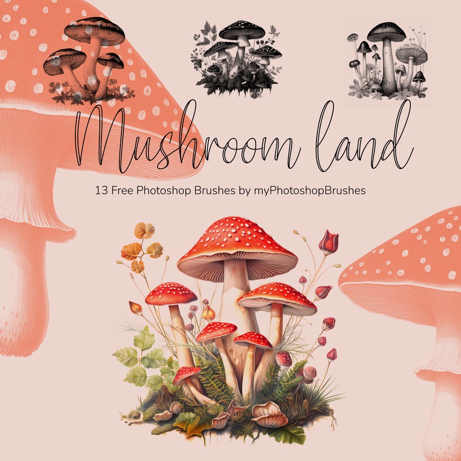 Photoshop brushes mushroom collection
