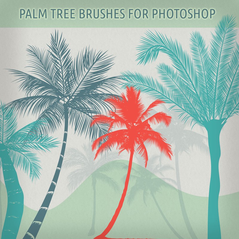 Palm Trees Brushes For Ps Photoshop Brushes 2886