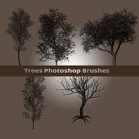 Photoshop Brushes Trees