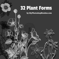 32 Plant Forms Brushes