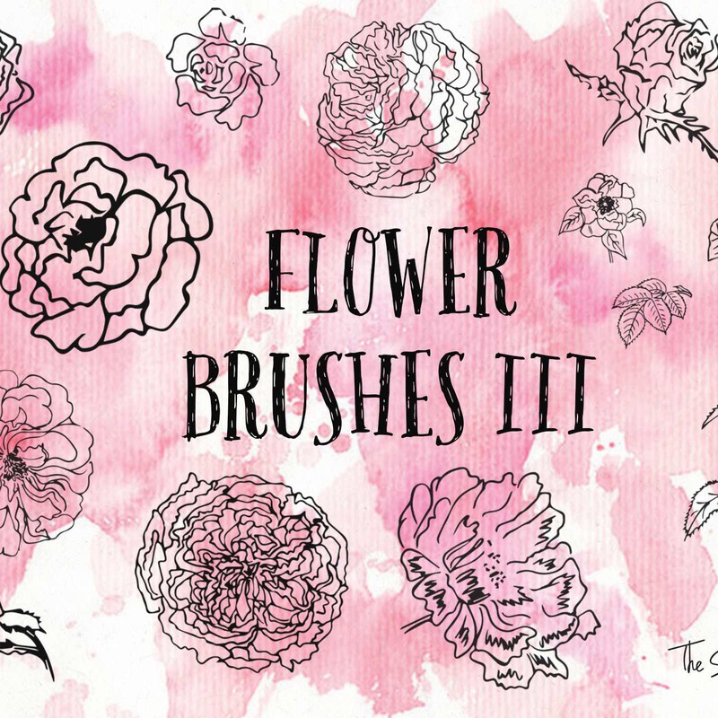 Photoshop brushes floral, flower, sketch