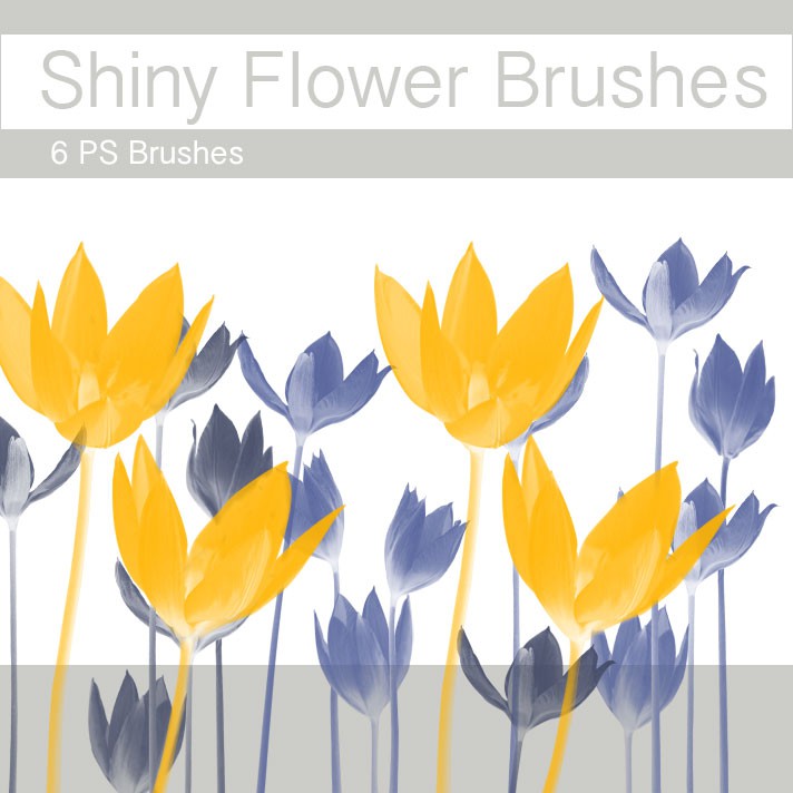 Photoshop brushes flowers